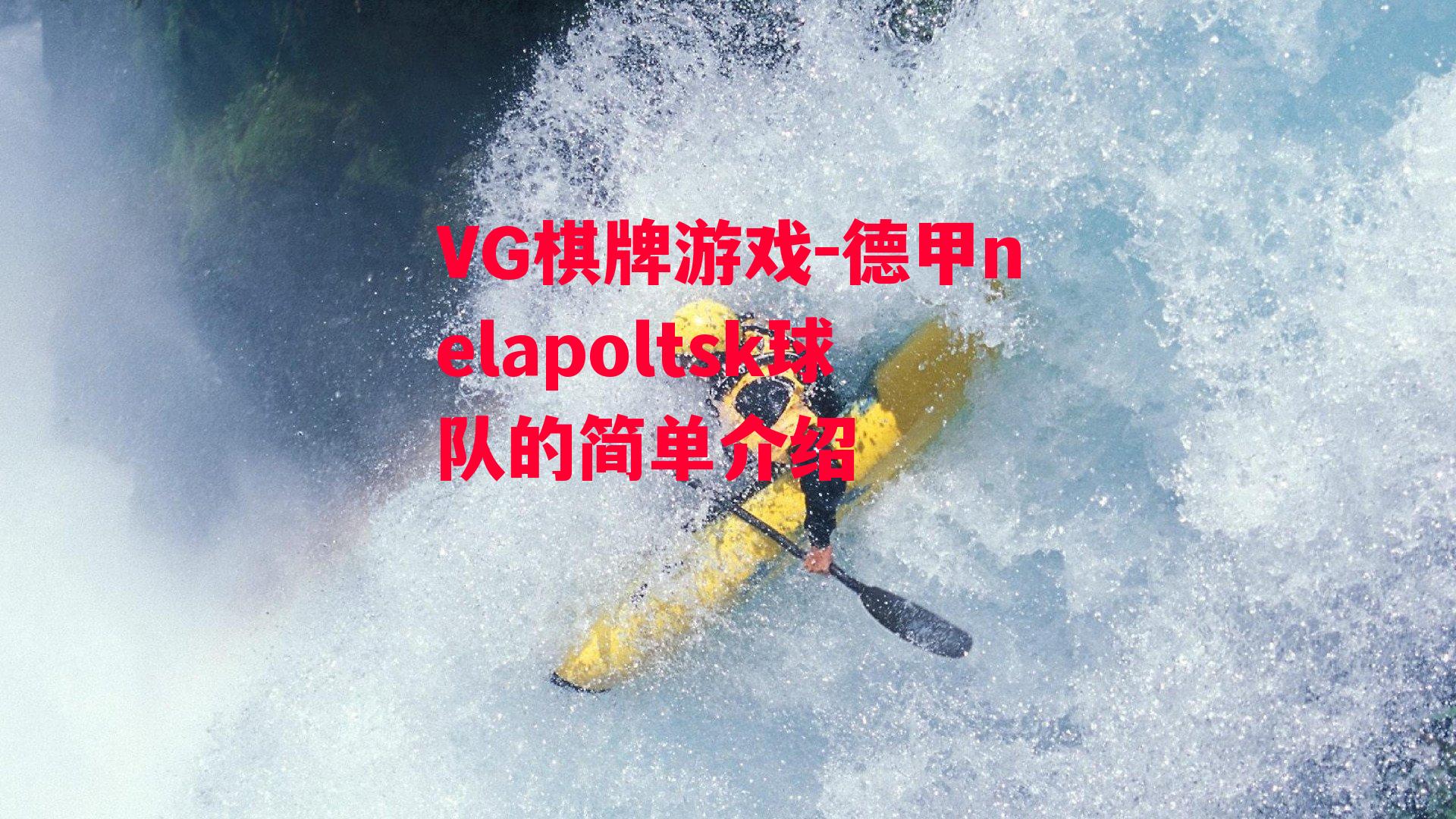 德甲nelapoltsk球队的简单介绍